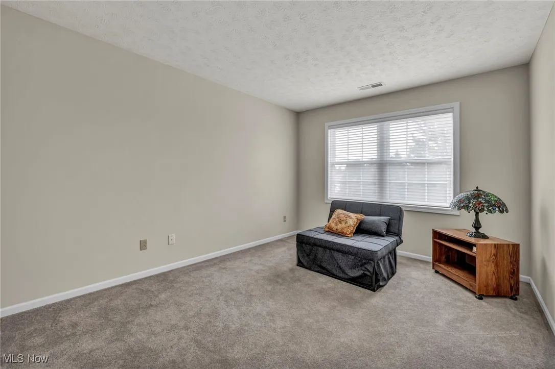 Sitting room featuring a textured ceiling and carpet flooring