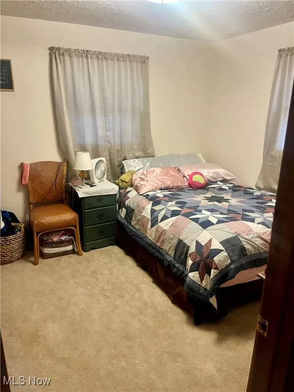 Carpeted bedroom with a textured ceiling