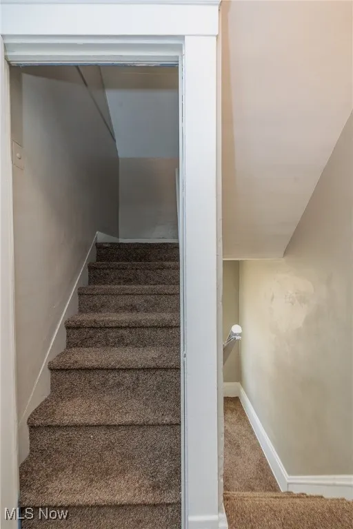 Stairs with baseboards and carpet