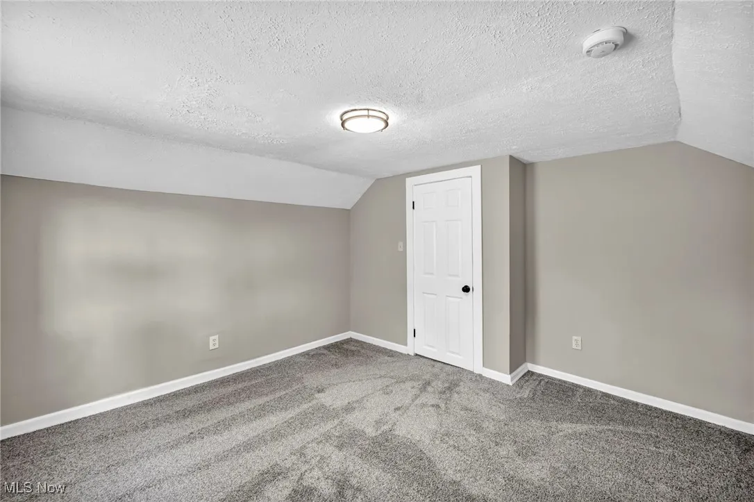 Bonus room with lofted ceiling, a textured ceiling, and carpet