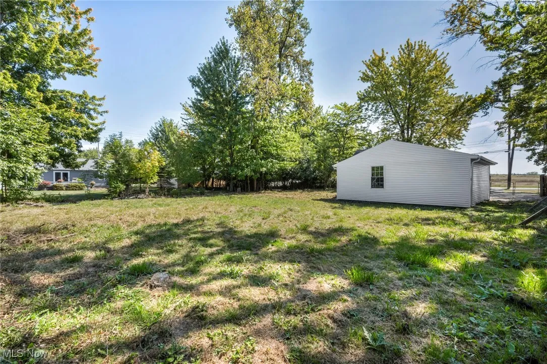 View of grassy yard