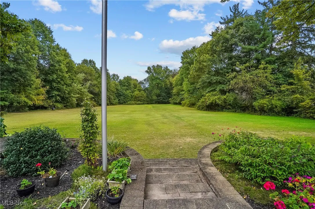View of grassy yard