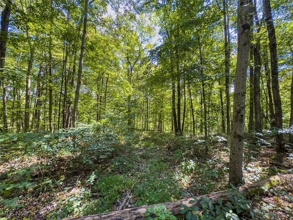 0 Rado Ridge Rd, Caldwell, Ohio 43724,MLS Now Listing ID