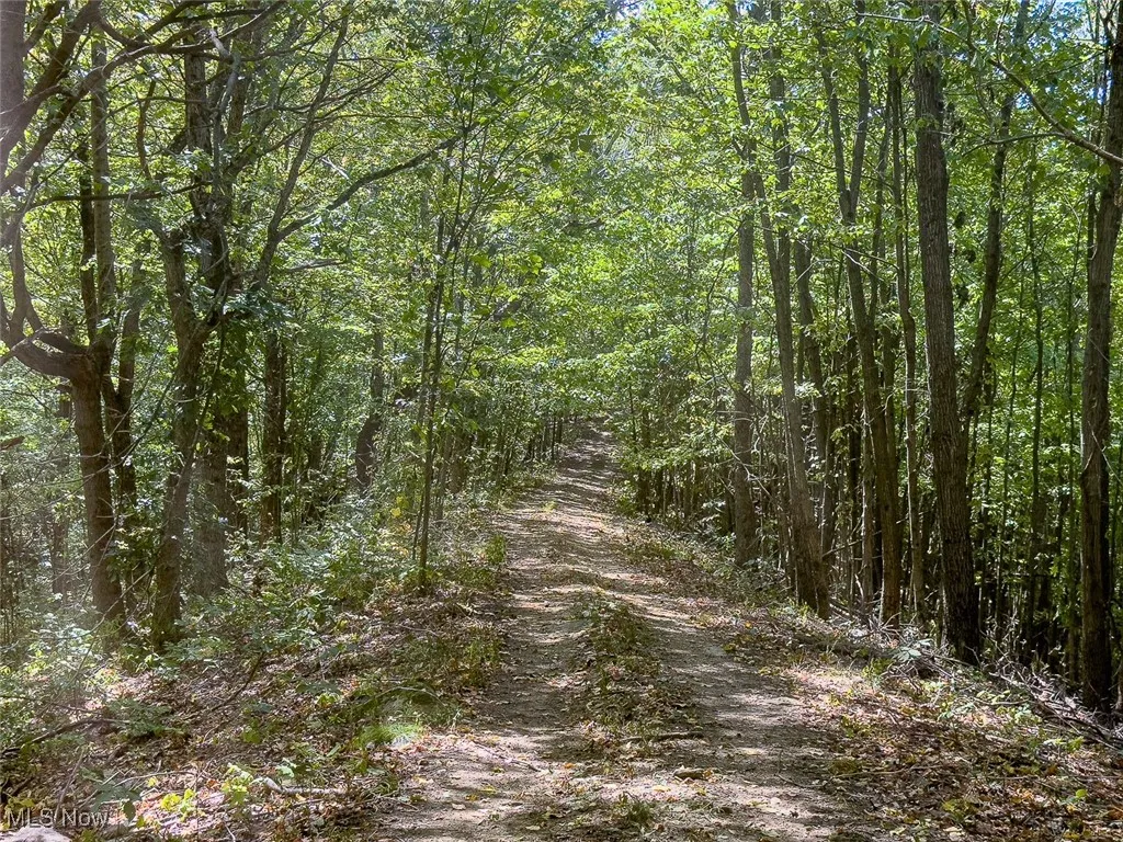 0 Rado Ridge Rd, Caldwell, Ohio 43724,MLS Now Listing ID