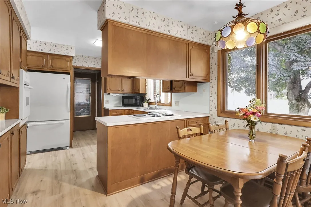 1507 Bellevue Drive, Wooster, Ohio 44691,MLS Now Listing ID