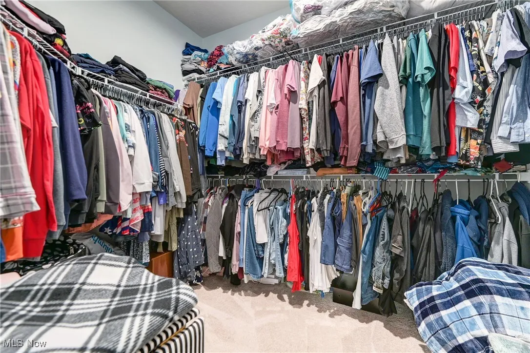 Spacious closet with carpet flooring