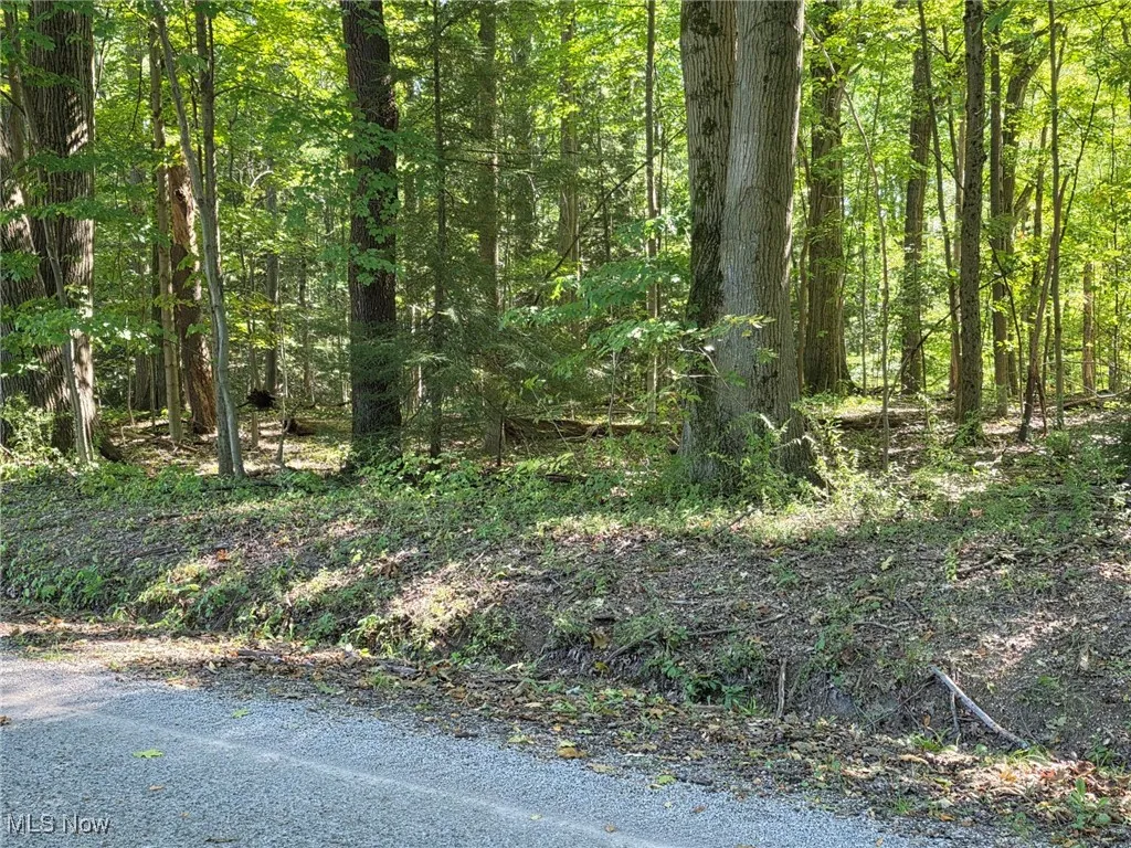 View of wooded area