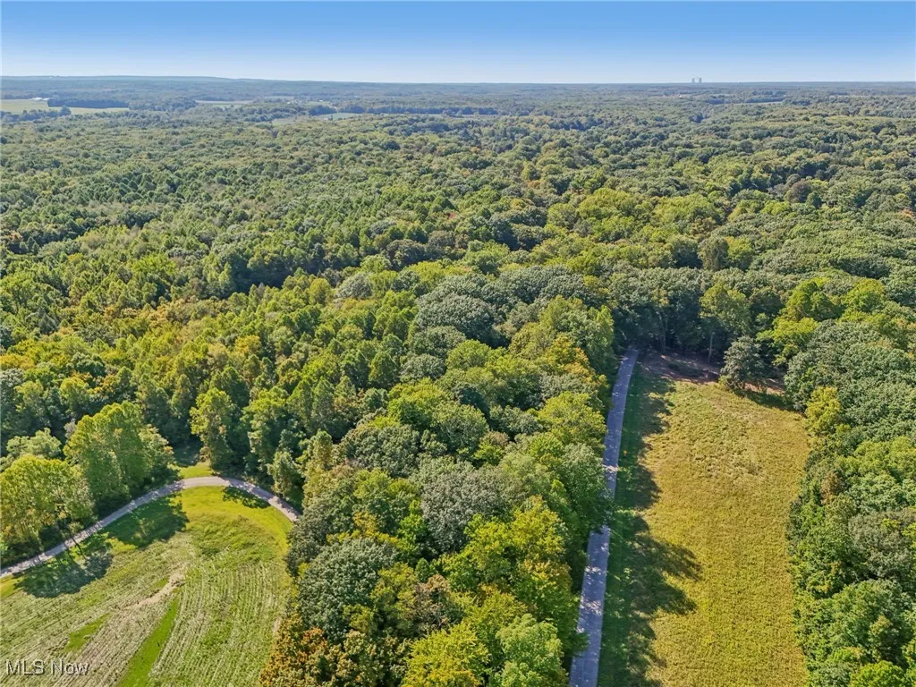 Bird's eye view of a heavily wooded area