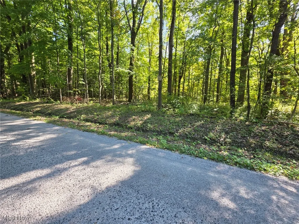 View of asphalt road with a wooded view
