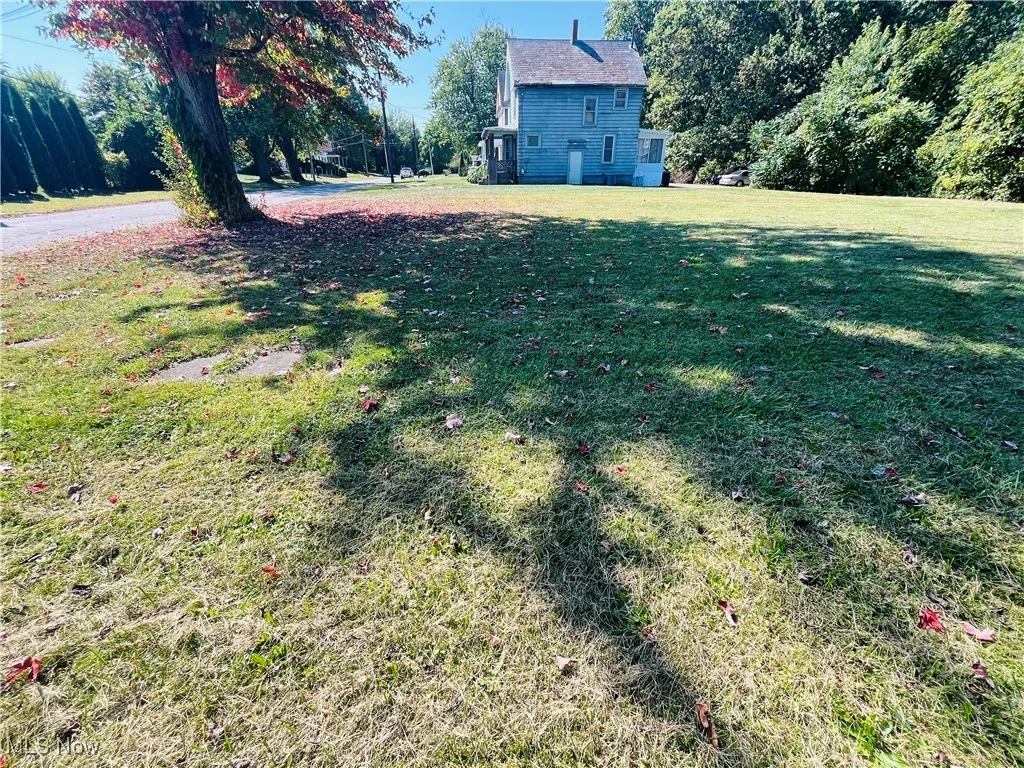 View of green lawn