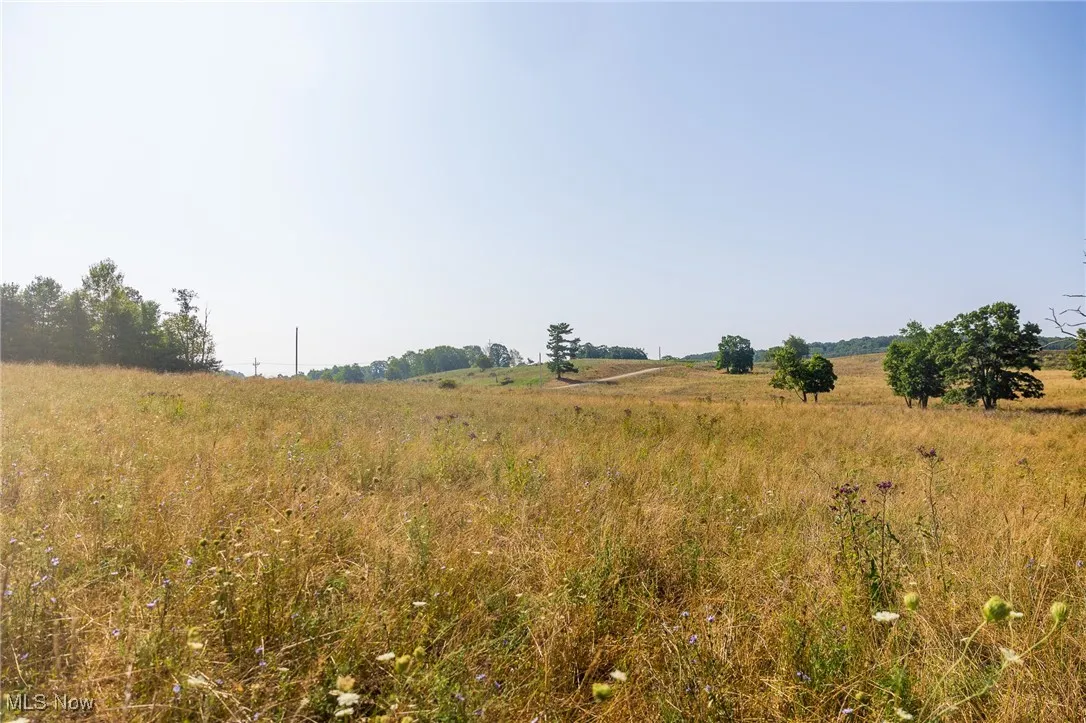 View of local wilderness with rural landscape
