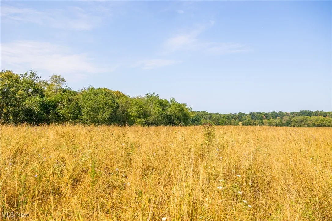 View of woods featuring a rural view