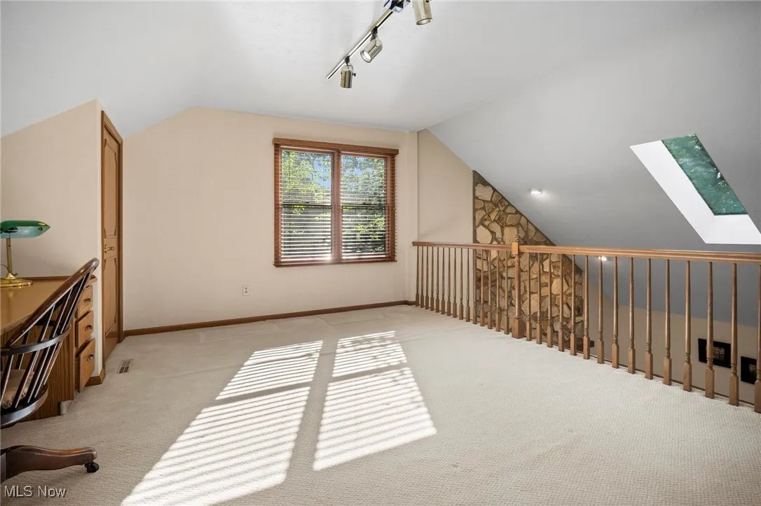 Additional living space featuring lofted ceiling, carpet flooring, and a skylight