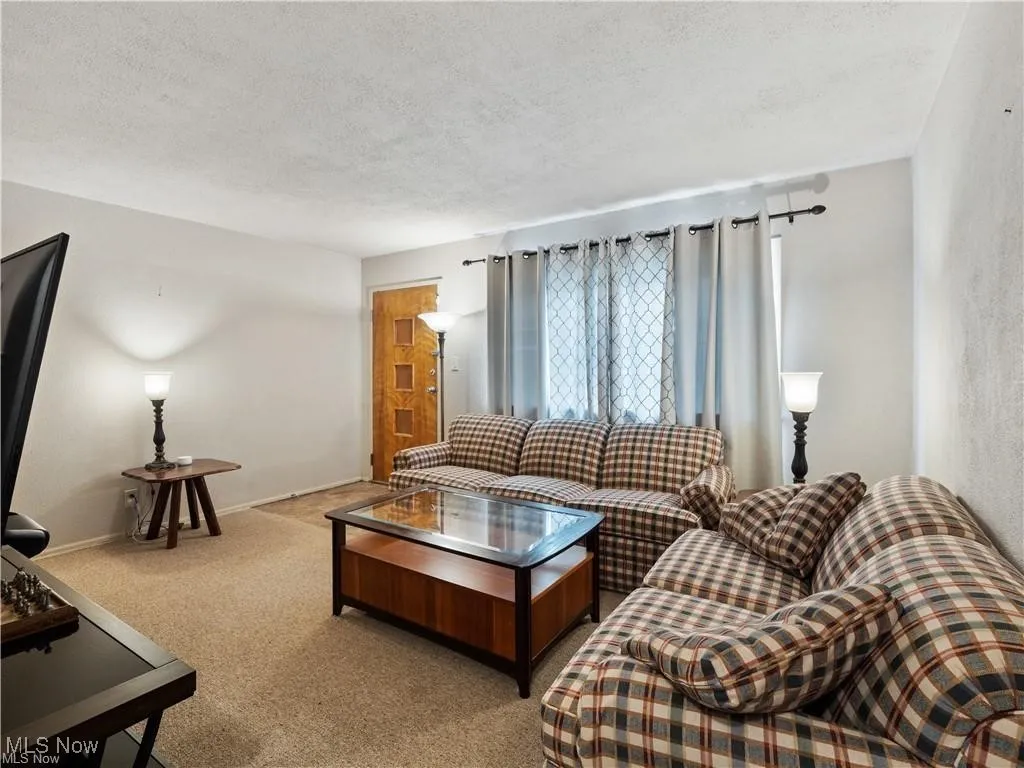 Living room featuring carpet floors and a textured ceiling