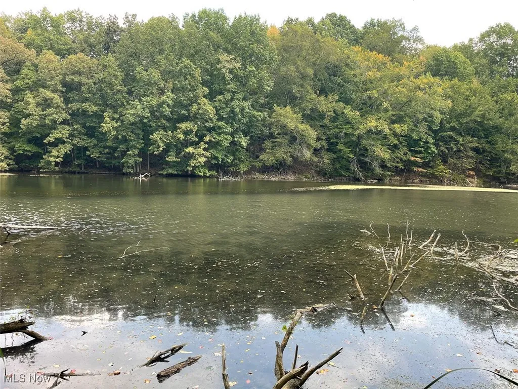 Water view featuring a heavily wooded area