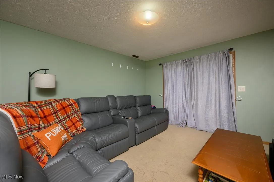 Carpeted living room featuring a textured ceiling