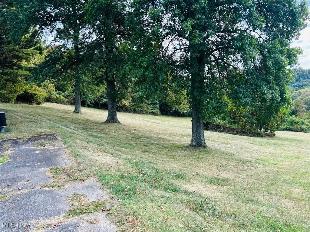 70540 Colerain Rd, Bridgeport, Ohio 43912,MLS Now Listing ID