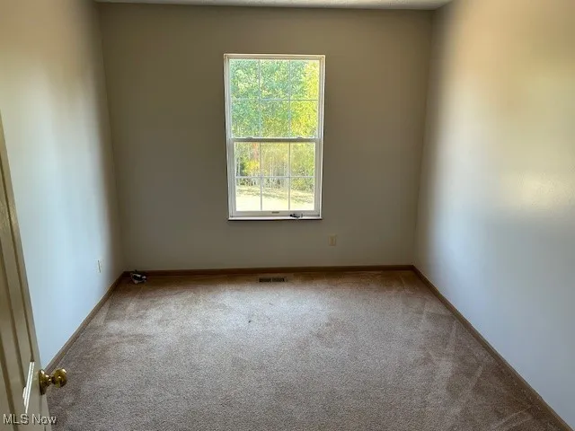 Carpeted spare room with baseboards