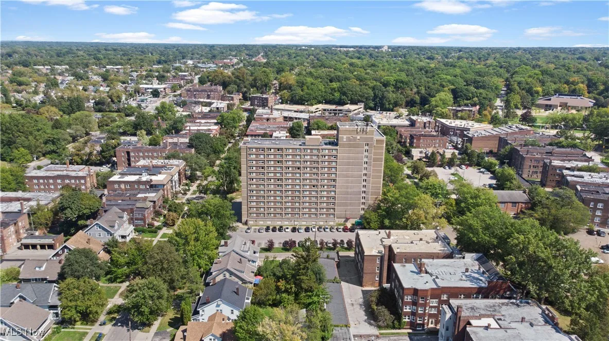 Aerial View of the neighborhood