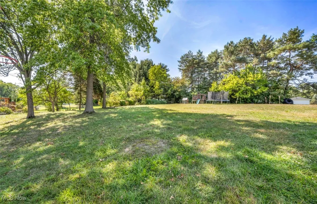 View of grassy yard with a trampoline and view of scattered trees
