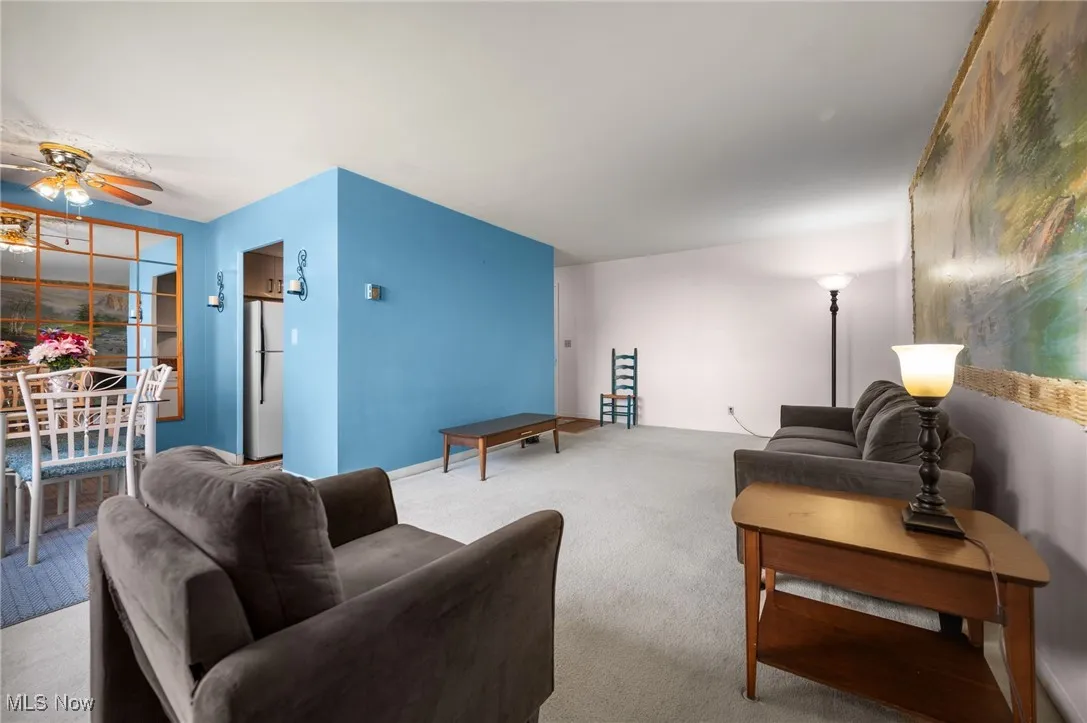 Carpeted living room