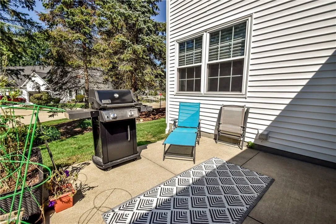 View of patio / terrace with grilling area