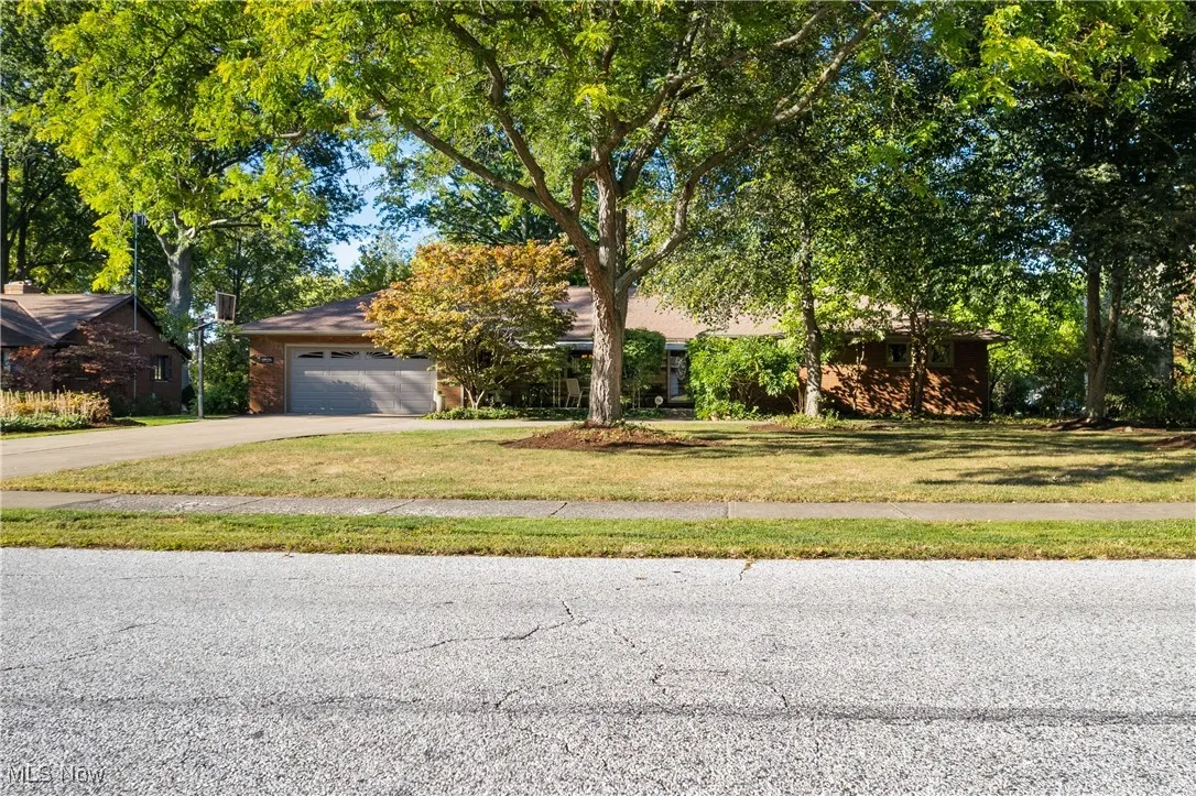 View of property hidden behind natural elements with a front yard, driveway, and a garage
