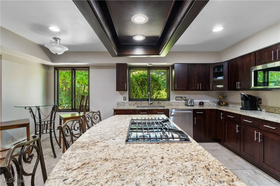 Kitchen with light stone countertops, glass insert cabinets, appliances with stainless steel finishes, a tray ceiling, and dark brown cabinets