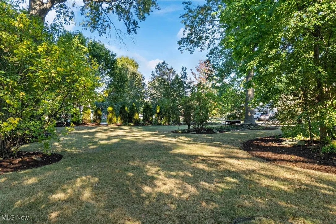View of grassy yard featuring view of wooded area