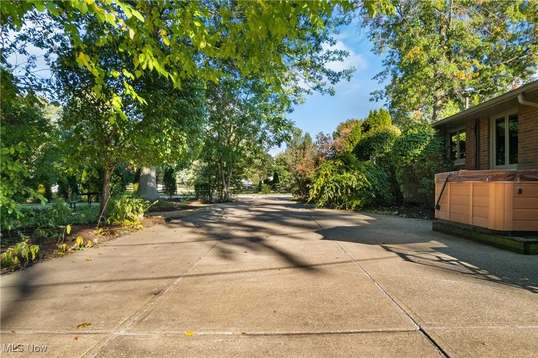 View of concrete road featuring view of scattered trees