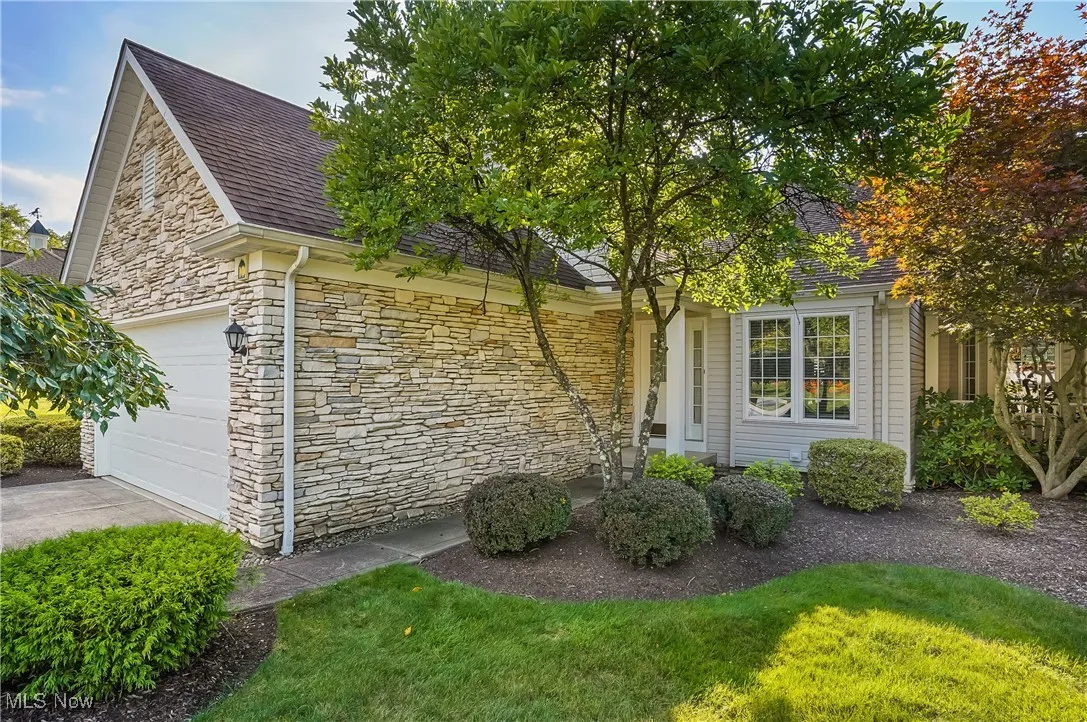 View of property hidden behind natural elements featuring stone siding, a front yard, and driveway