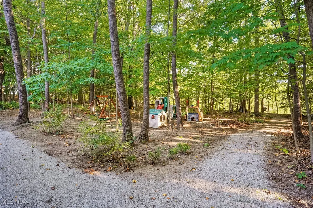 Paths in Wooded yard
