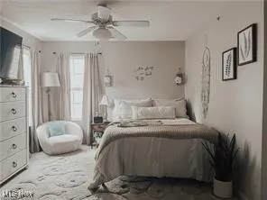 Bedroom with ceiling fan