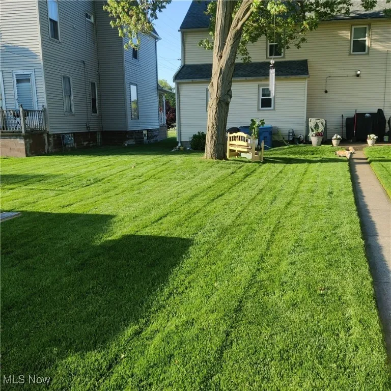 View of green lawn