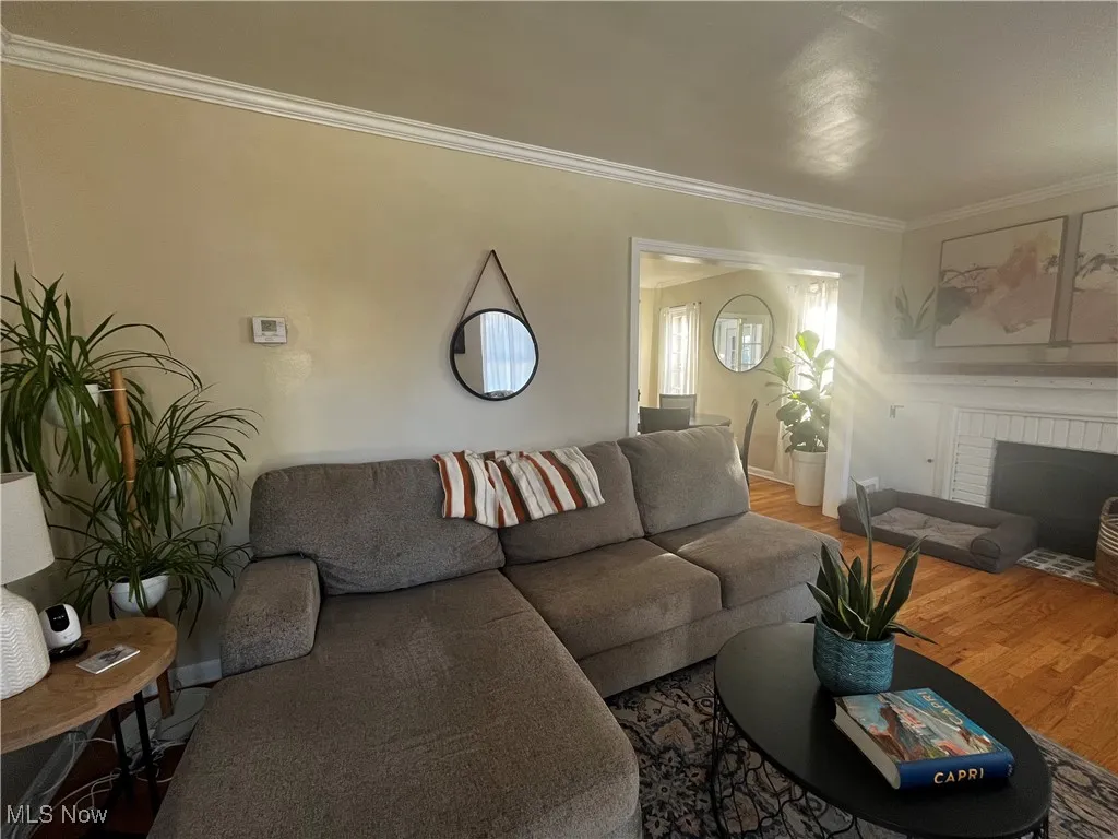 Living room featuring ornamental molding, wood finished floors, and a fireplace