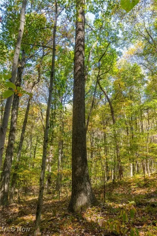 7030 Halo Road, Dellroy, Ohio 44620,MLS Now Listing ID