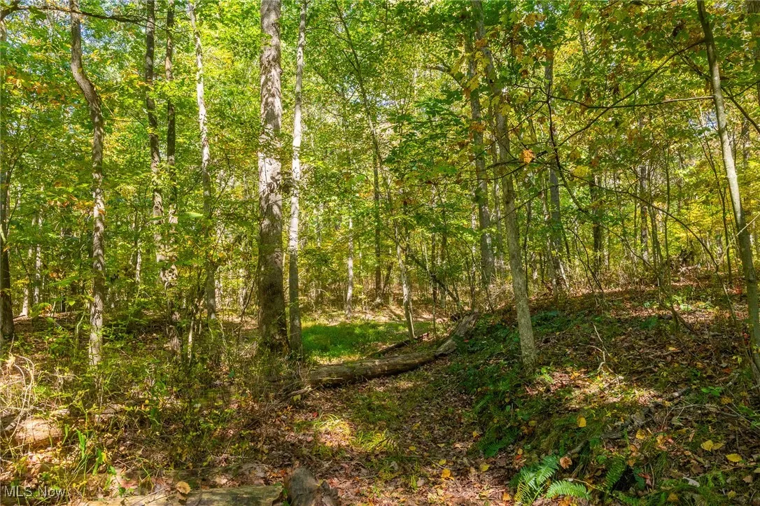 7030 Halo Road, Dellroy, Ohio 44620,MLS Now Listing ID
