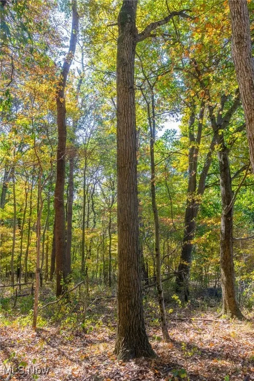 7030 Halo Road, Dellroy, Ohio 44620,MLS Now Listing ID