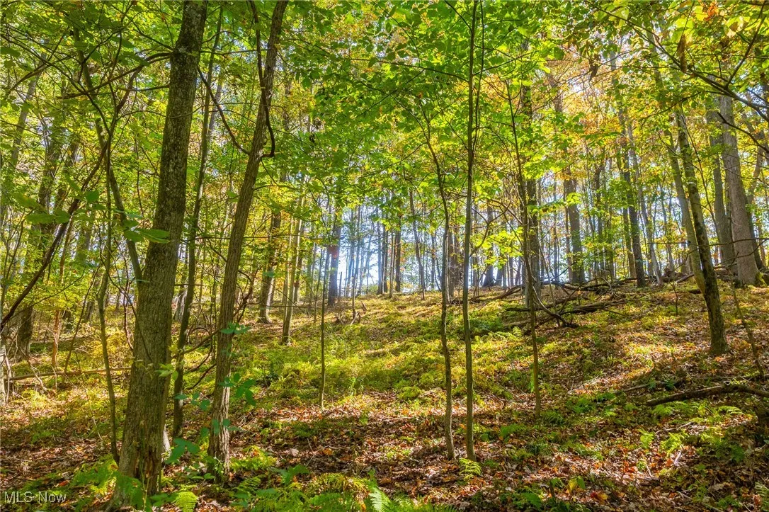 7030 Halo Road, Dellroy, Ohio 44620,MLS Now Listing ID