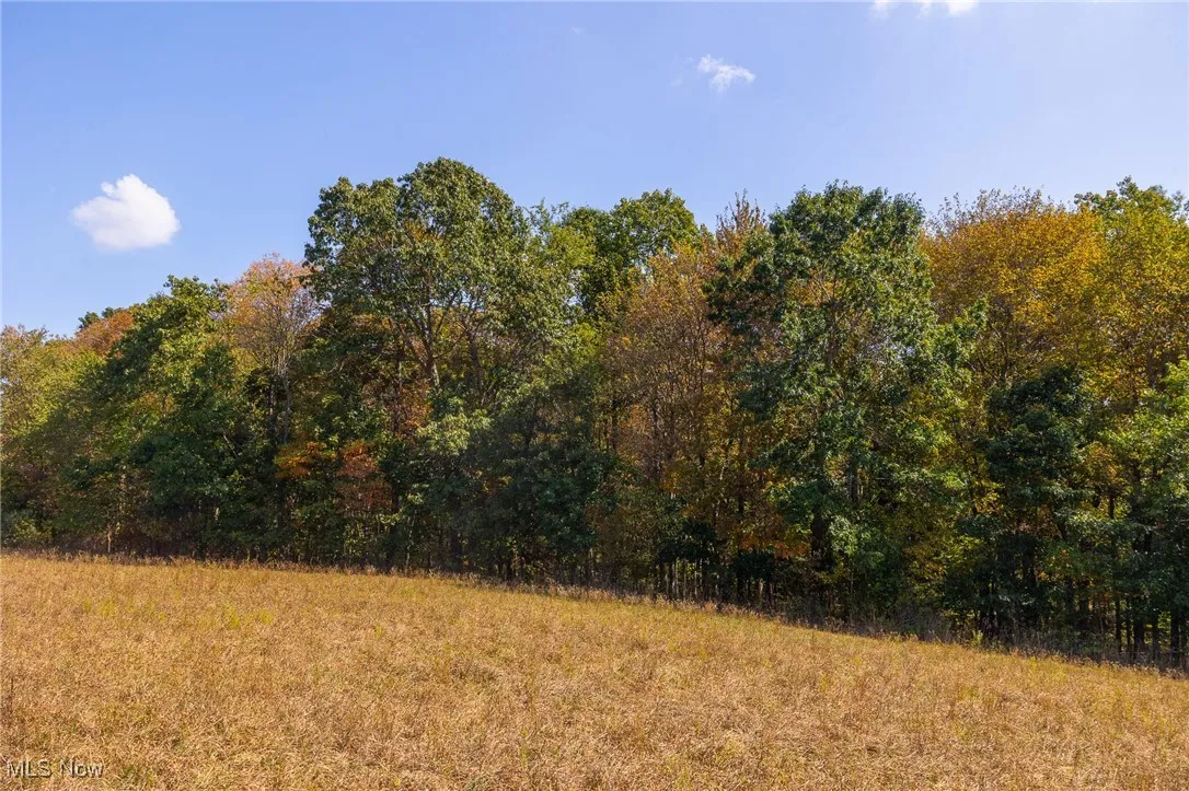 7030 Halo Road, Dellroy, Ohio 44620,MLS Now Listing ID