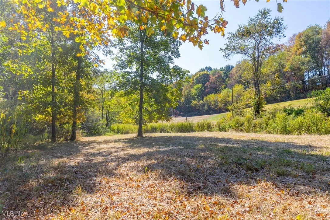 7030 Halo Road, Dellroy, Ohio 44620,MLS Now Listing ID