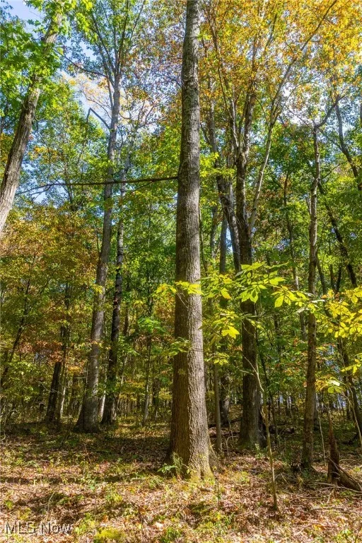 7030 Halo Road, Dellroy, Ohio 44620,MLS Now Listing ID