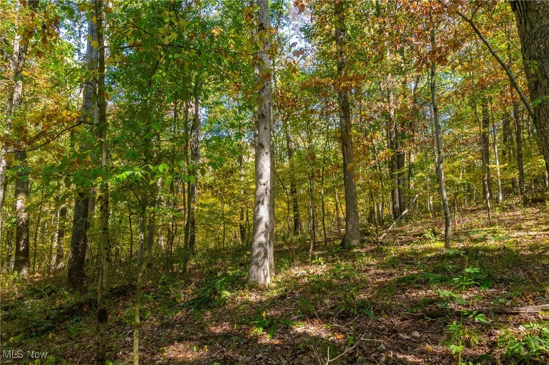 7030 Halo Road, Dellroy, Ohio 44620,MLS Now Listing ID