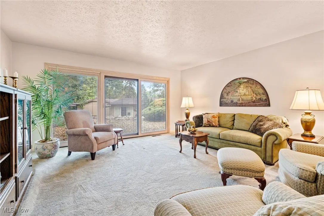 Living area with carpet floors and a textured ceiling