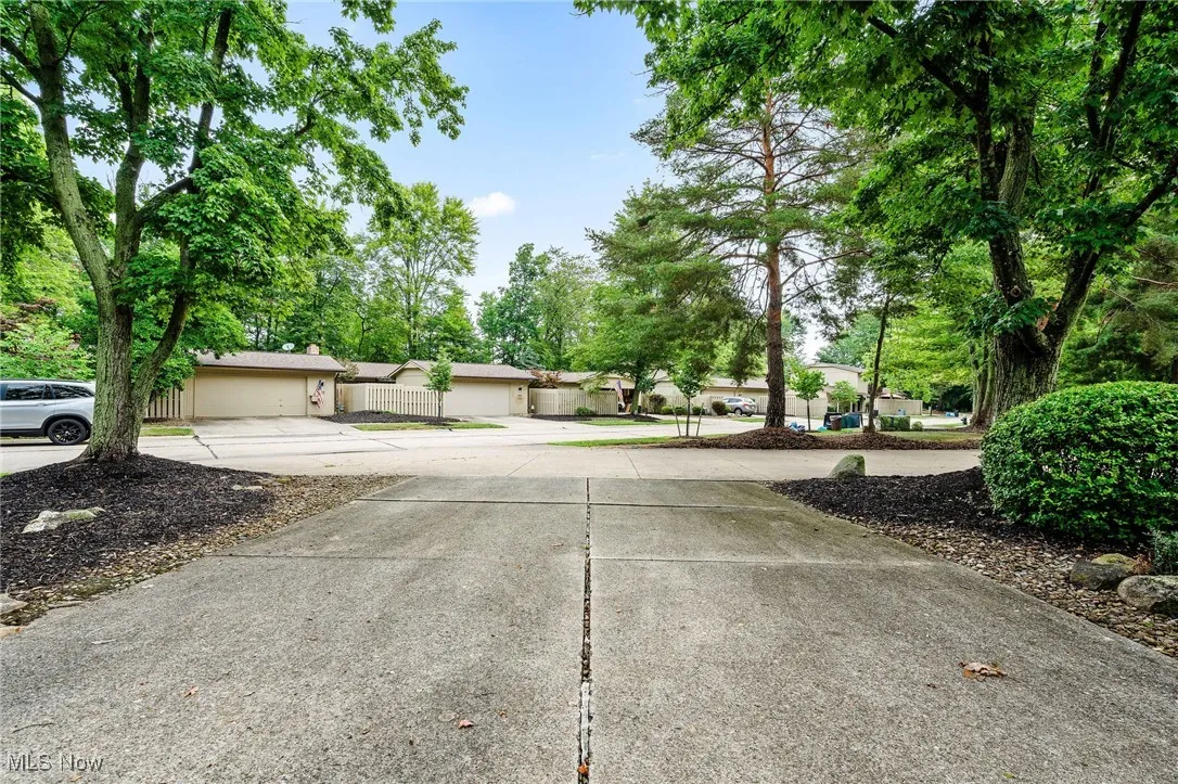 View of concrete driveway featuring view of wooded area