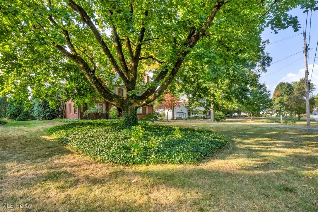 View of grassy yard