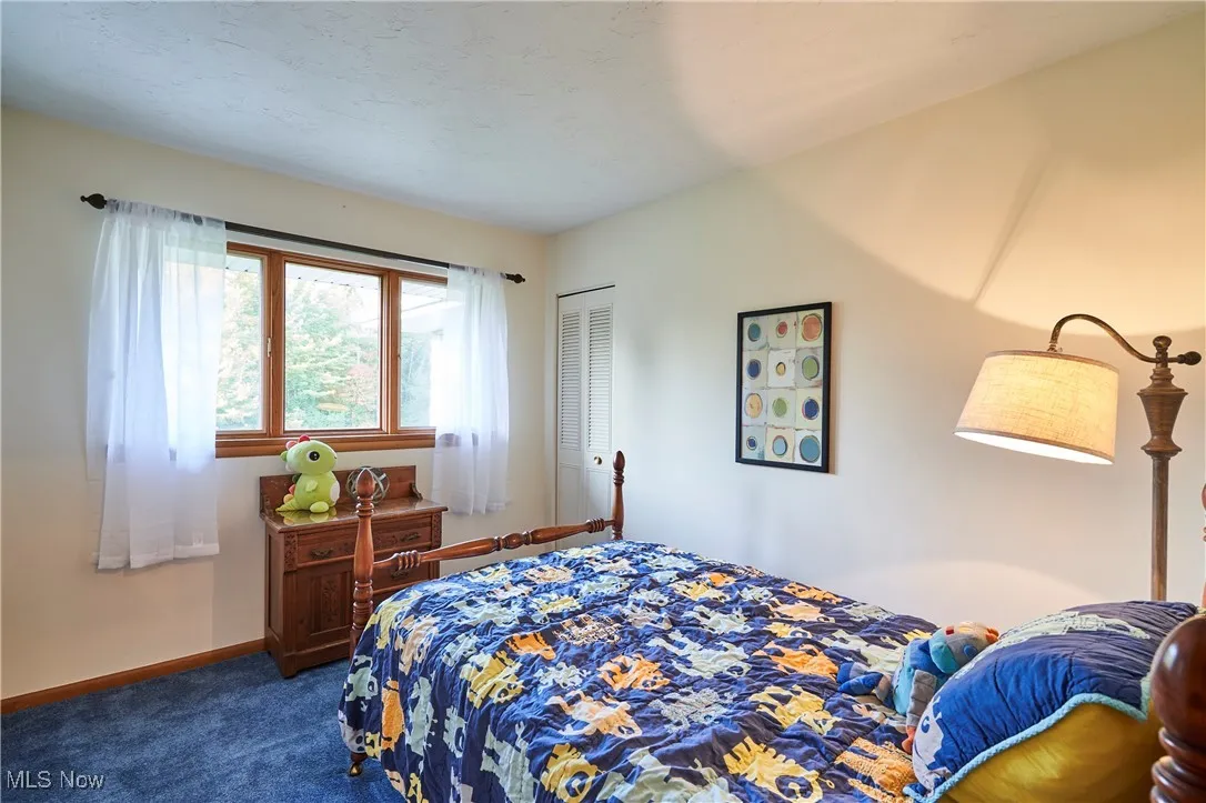 2930 Austinburg Road, Saybrook, Ohio 44004,MLS Now Listing ID