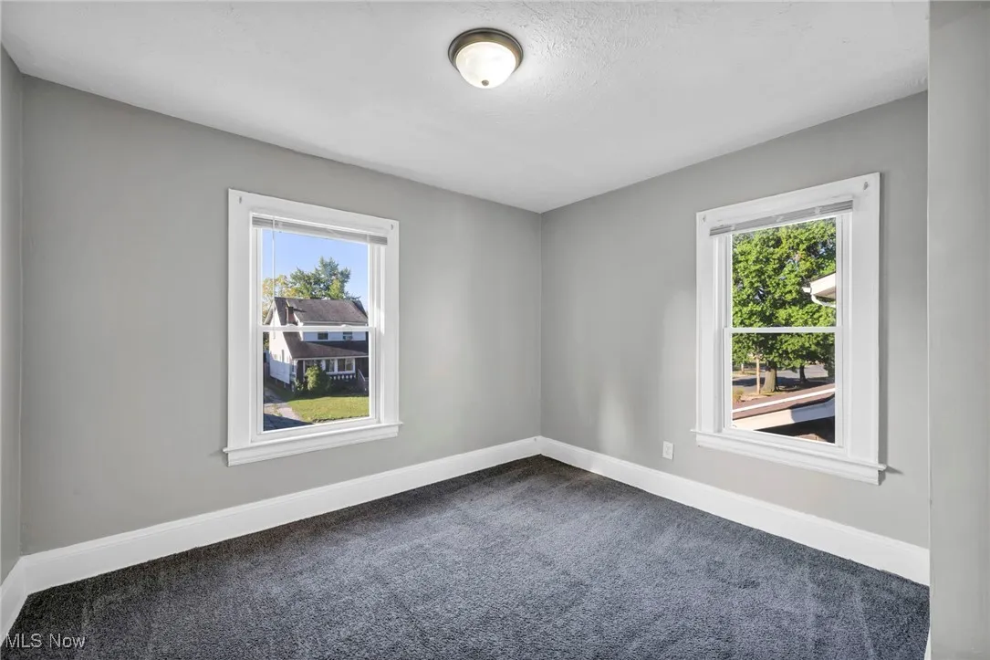 Unfurnished room featuring carpet and healthy amount of natural light