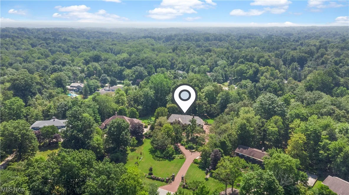 Drone / aerial view of a forest
