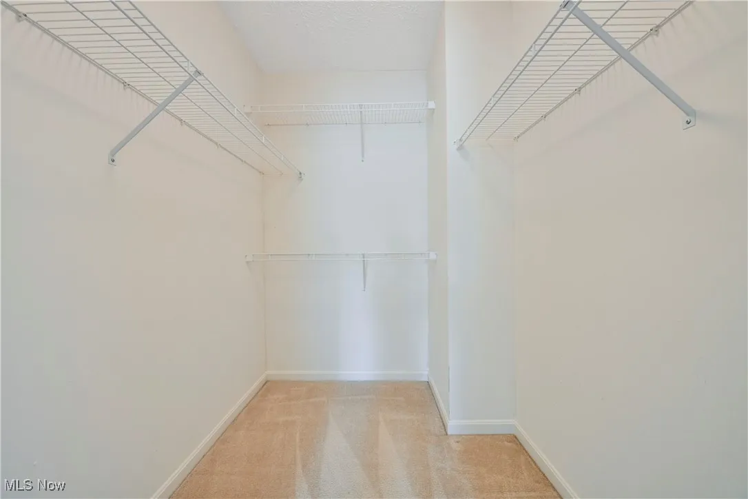 Walk in closet with light carpet